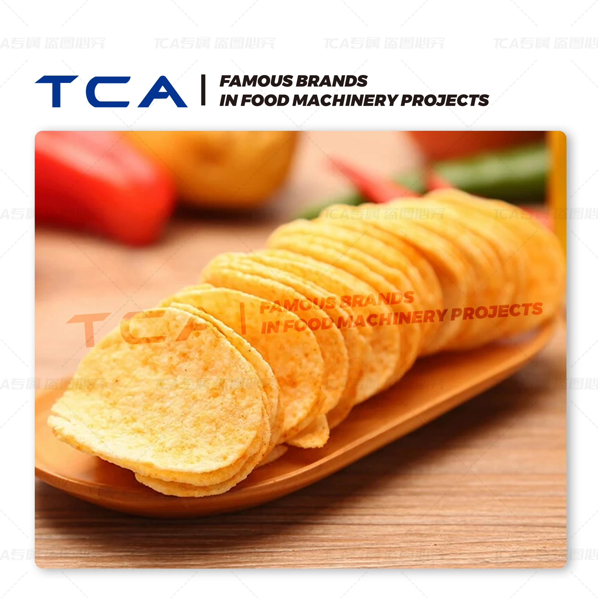 L&iacute;nea de producci&oacute;n de patatas fritas compuestas