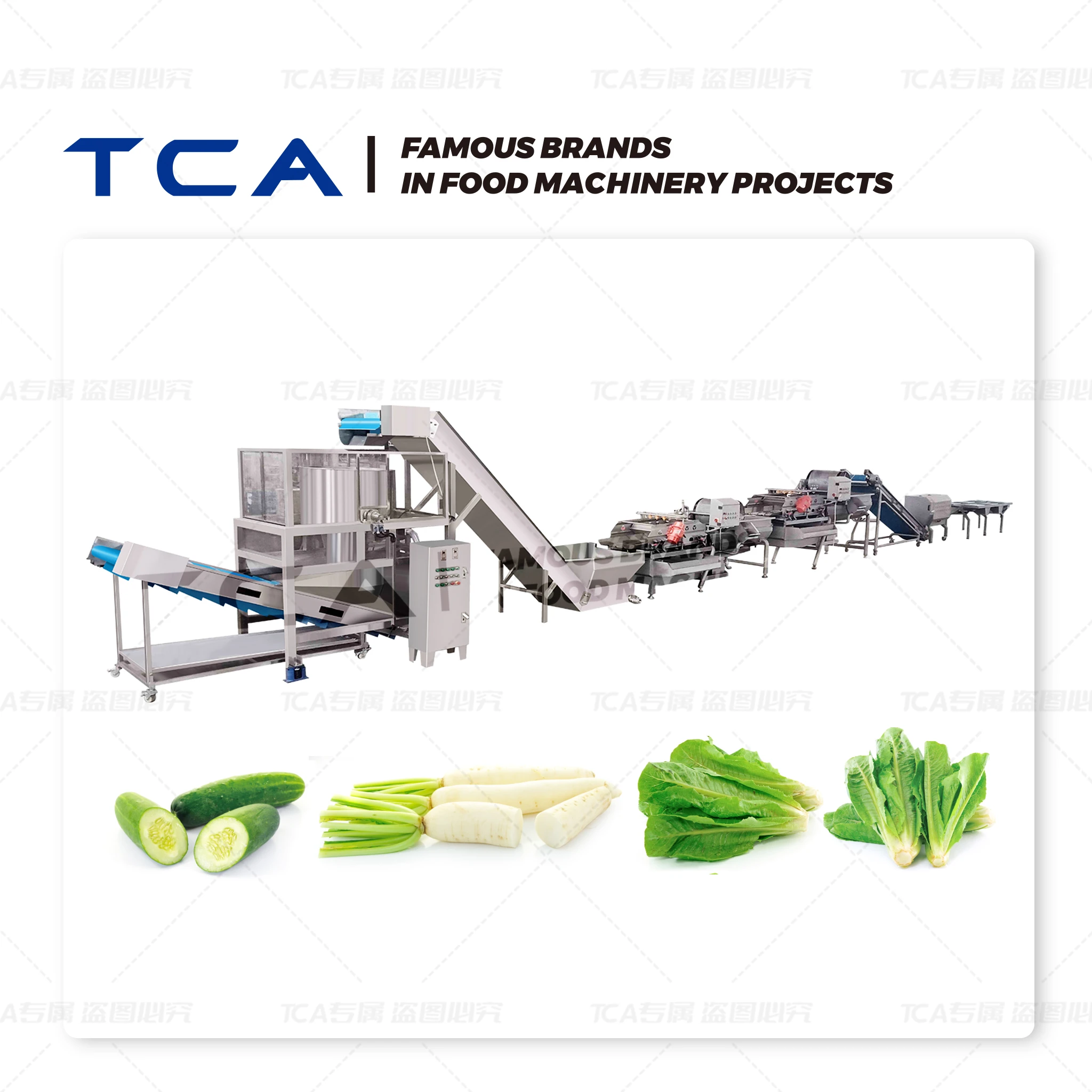 L&iacute;nea de producci&oacute;n de verduras congeladas r&aacute;pidamente